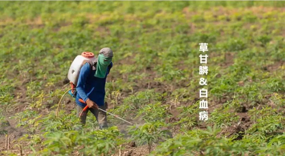胡刪：不孕癥，白血病，除草劑的罪孽何時了？